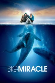 Big Miracle – Το θαύμα της Αλάσκας