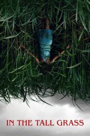 In the Tall Grass – Στα Ψηλά Χορτάρια