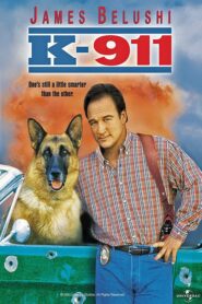 K-911 – λαγωνικό άμεσης δράσης