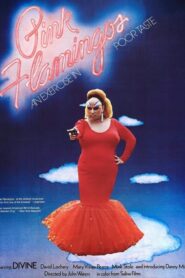 Pink Flamingos