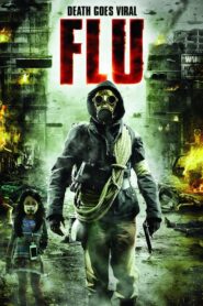 The Flu