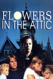 Flowers in the Attic