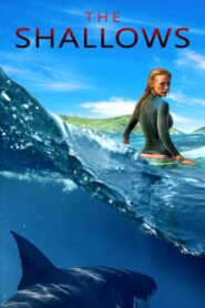 The Shallows – Σε Ρηχά Νερά