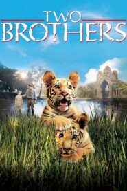 Two Brothers – Deux frères