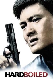 Hard Boiled – Ο τιμωρός του Χονγκ Κονγκ