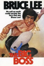 The Big Boss – Tang shan da xiong – Ο μεγάλος αρχηγός, ο αήττητος του καράτε