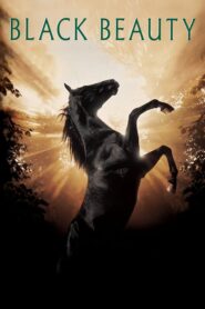 Black Beauty – Η μαύρη καλλονή