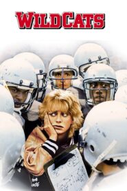 Wildcats – Οι αγριόγατοι