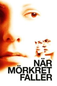 When Darkness Falls – När mörkret faller