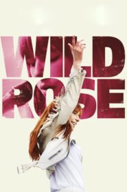 Wild Rose