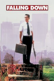 Falling Down – Μια Ξεχωριστή Μέρα