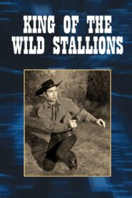 King of the Wild Stallions – Ο Μαύρος Κεραυνός