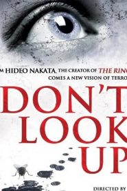 Don’t Look Up