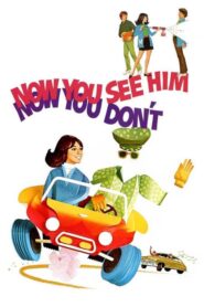 Now You See Him, Now You Don’t – Η Αόρατη Συμμορία