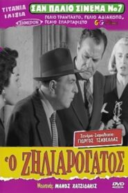 Ο Ζηλιαρόγατος