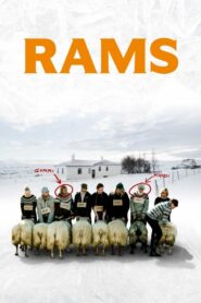 Rams – Hrútar – Δεσμοί αίματος