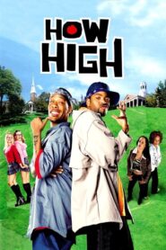 How High – Τρελό δίδυμο