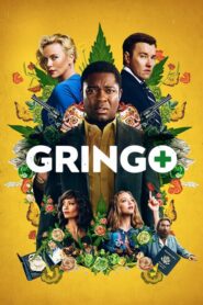 Gringo – Ένας Ξένος Στην Πόλη