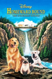Homeward Bound: The Incredible Journey – Το απίθανο ταξίδι
