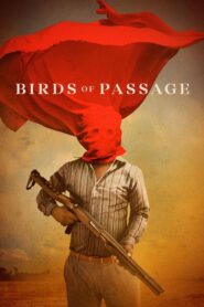 Birds of Passage – Αποδημητικά Πουλιά