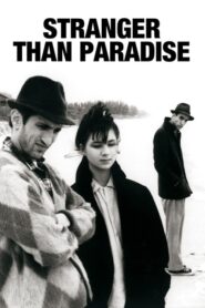 Stranger Than Paradise – Πέρα από τον Παράδεισο