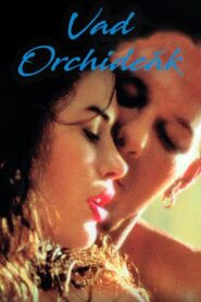 Wild Orchid – Άγρια ορχιδέα