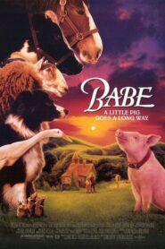 Babe – Μπέιμπ, το Ζωηρό Γουρουνάκι
