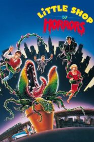 Little Shop of Horrors – Το Μαγαζάκι του Τρόμου