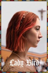 Lady Bird – Πασχαλίτσα