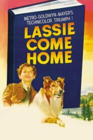 Lassie Come Home – Σιωπηλός κατήγορος – Siopilos katigoros