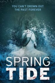 Springfloden