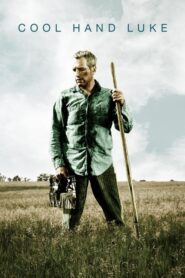 Cool Hand Luke – Ο Μεγάλος Δραπέτης