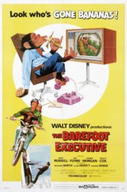 The Barefoot Executive – Ο ξυπόλητος αντιπρόεδρος