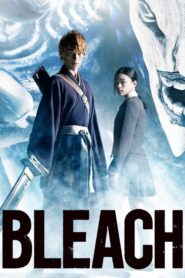 Bleach: Burîchu