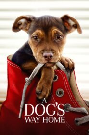 A Dog’s Way Home – 400 Μίλια Αγάπης