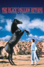 The Black Stallion Returns – Η μαυρη καλλονη επιστρεφει – Η επιστροφη του μαυρου αλογου