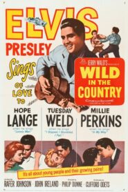 Wild in the Country – Σκόνταψα, γλίστρησα κι έπεσα