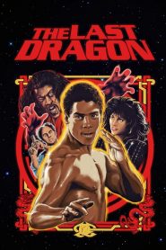 The Last Dragon – Ο τελευταίος δράκος