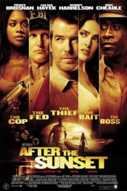 After the Sunset – Το τελευταίο κόλπο