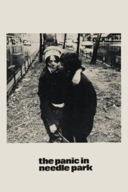 The Panic in Needle Park – Πανικός στο Νηντλ Παρκ