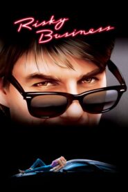 Risky Business – Οι σκοτεινές μπίζνες ενός πρωτάρη