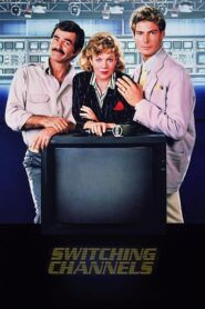 Switching Channels – Ερωτικά Κυκλώματα