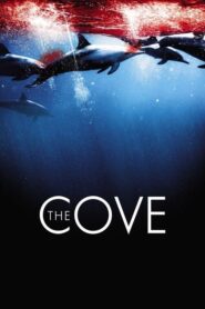 The Cove – Ο όρμος