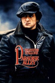 Paradise Alley – Βίαιοι δρόμοι