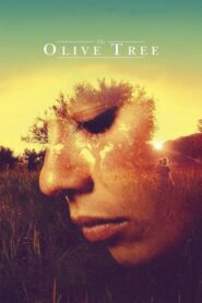 The Olive Tree – El olivo – Η ελιά