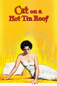 Cat on a Hot Tin Roof – Λυσσασμένη γάτα