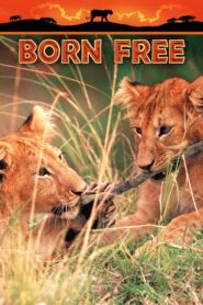 Born Free – Γεννημένη ελεύθερη