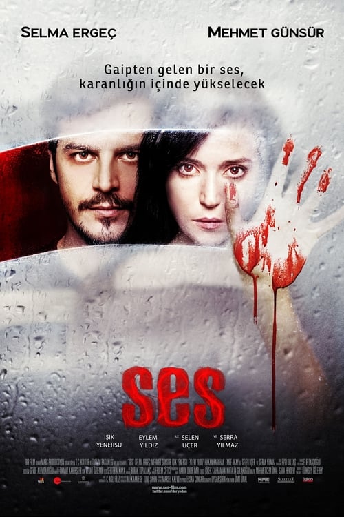 Ses – The Voice