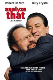 Analyze That – Ξανά Ανάλυσέ το