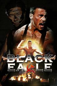 Black Eagle – Μαύρος αετός